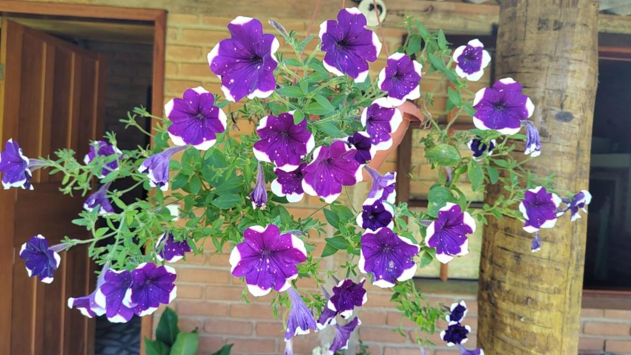 Chale Vale Das Flores - Visconde De Maua Rj Екстериор снимка